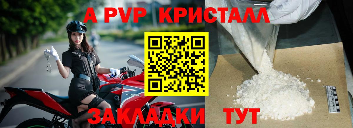 A-PVP СК КРИС Воркута