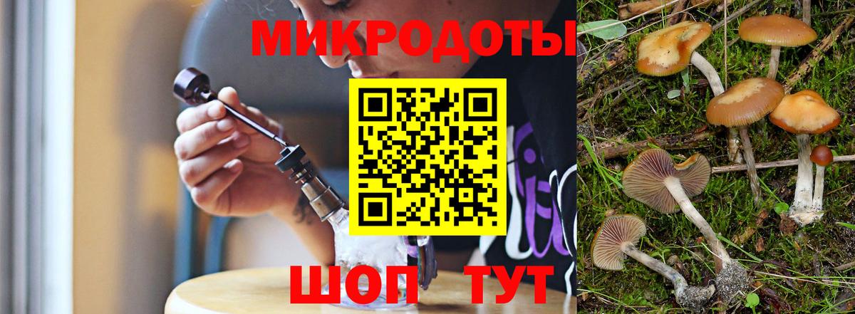 Галлюциногенные грибы Psilocybe Воркута